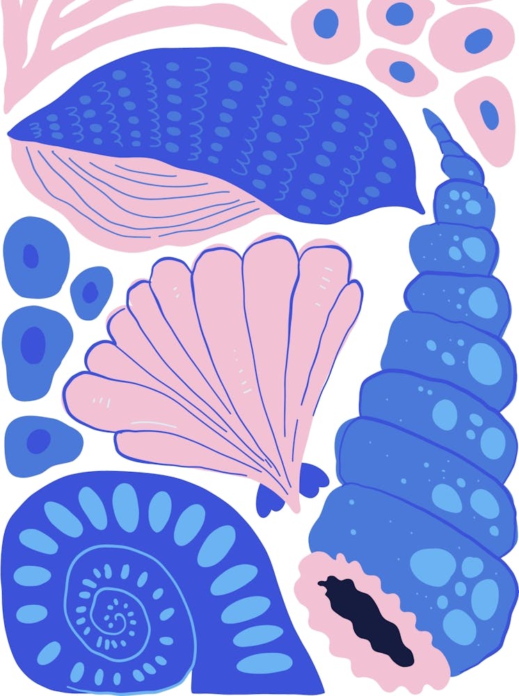 Pink and Blue Sea Shells Ocean Collection Boho