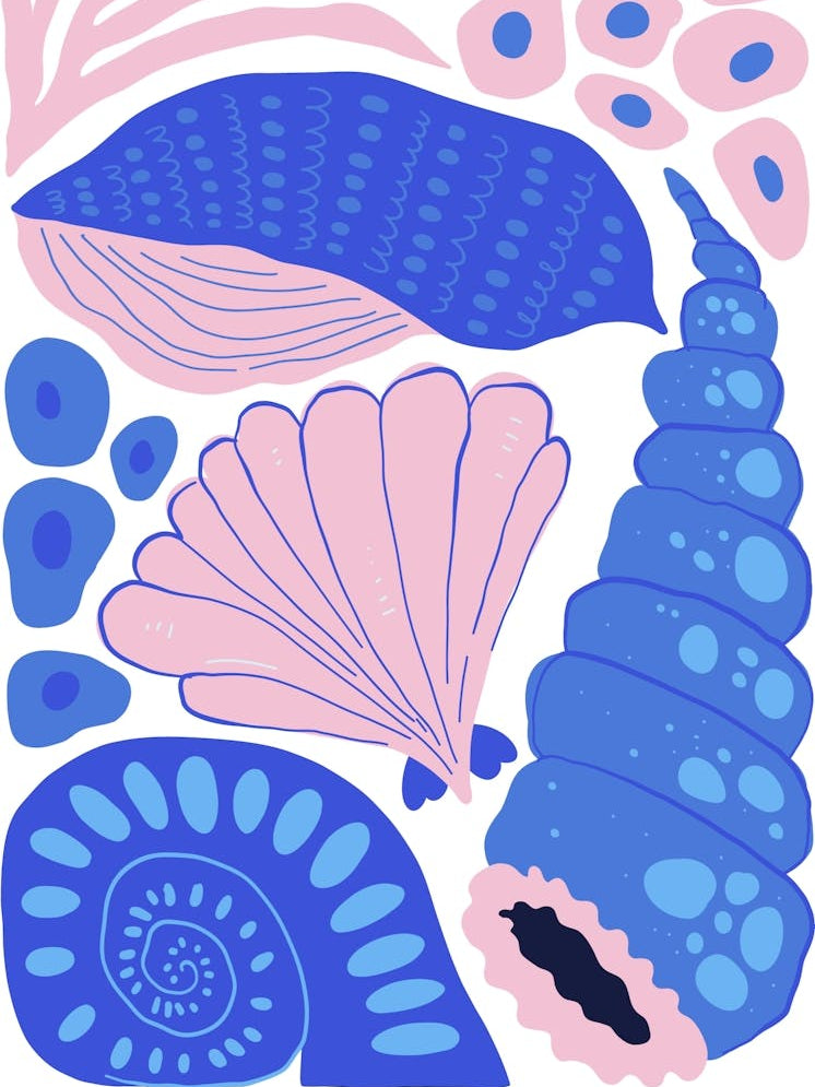 Pink and Blue Sea Shells Ocean Collection Boho