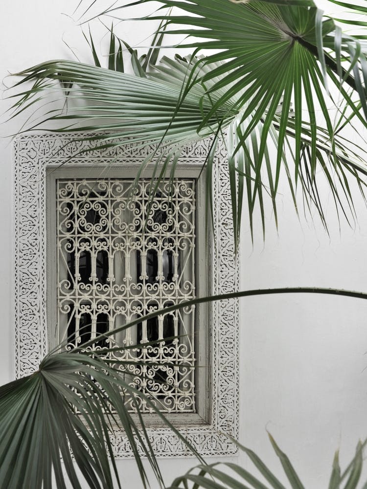 Orient Garden Dreams (Morocco)