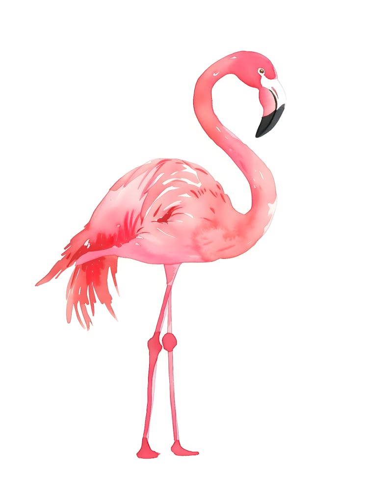 Pink Flamingo 1