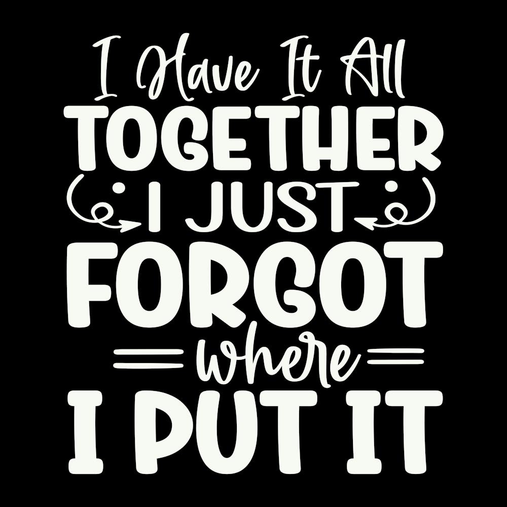 i Have It All Together I Just Forgot Where I Put It 2