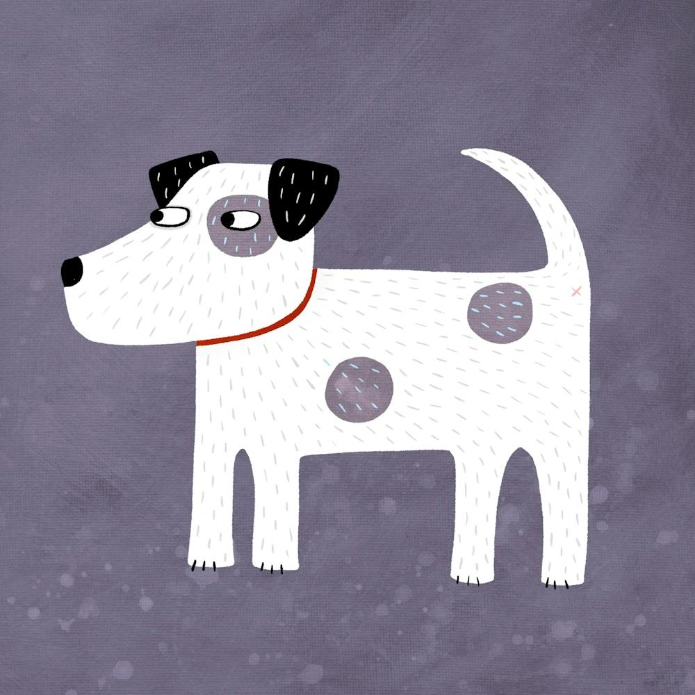 Parson Jack Russell Terrier Hund
