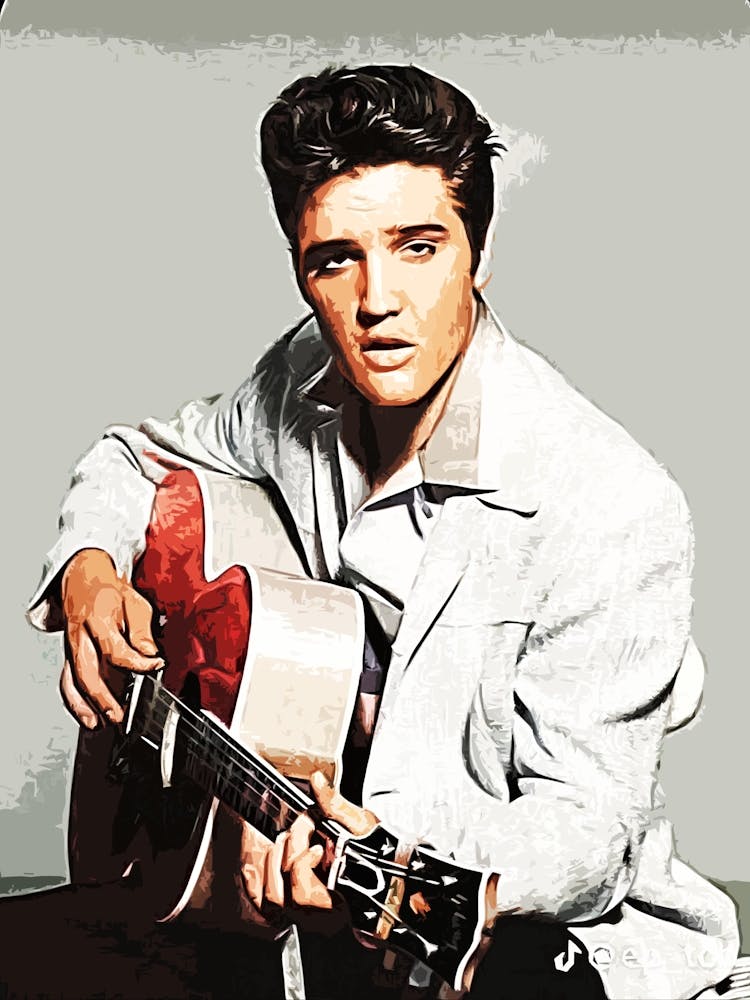 Elvis Presley guitar music