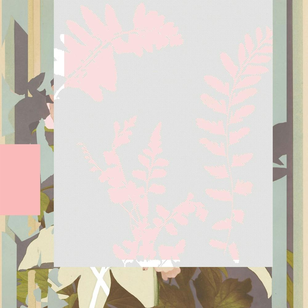 The First Plant · F2