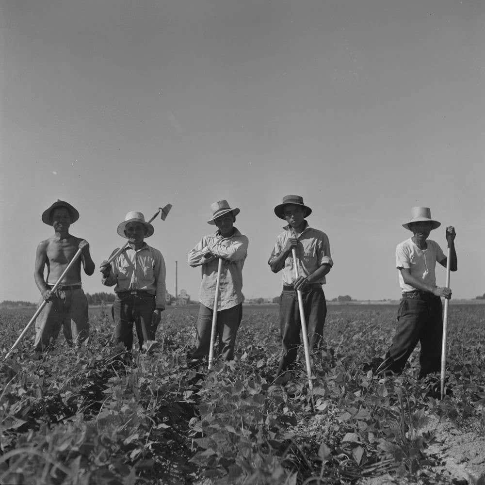 Twin Falls County, Idaho, Fsa (Farm Security Administration) Workers Camp, Japanese Farm Workers By Russell Lee