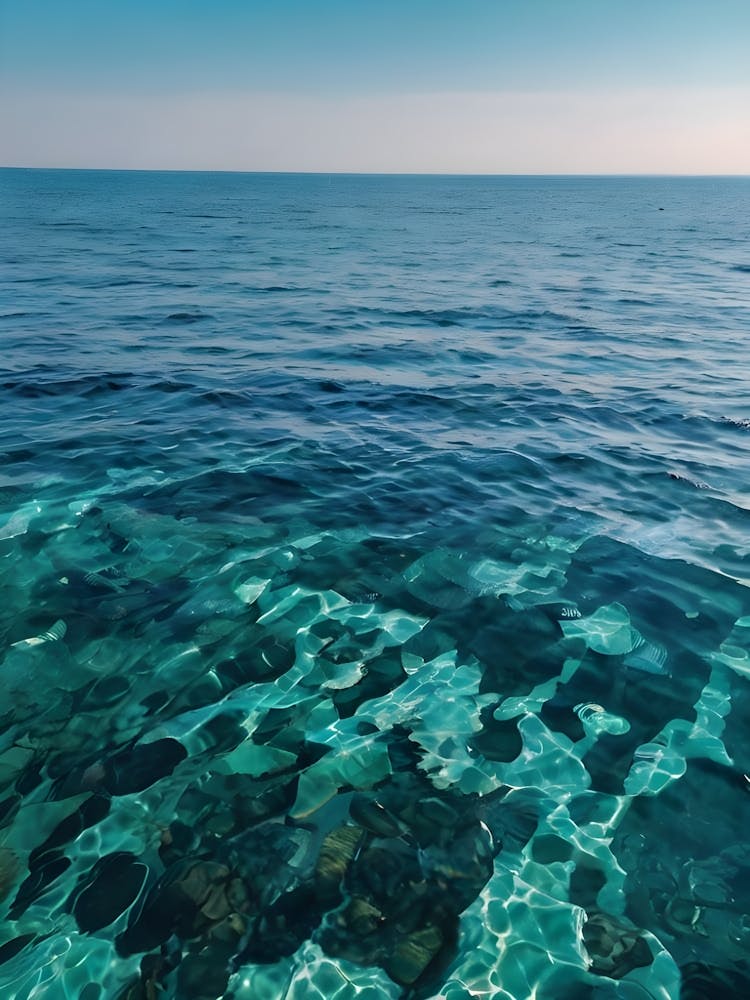 Clear Blue Water