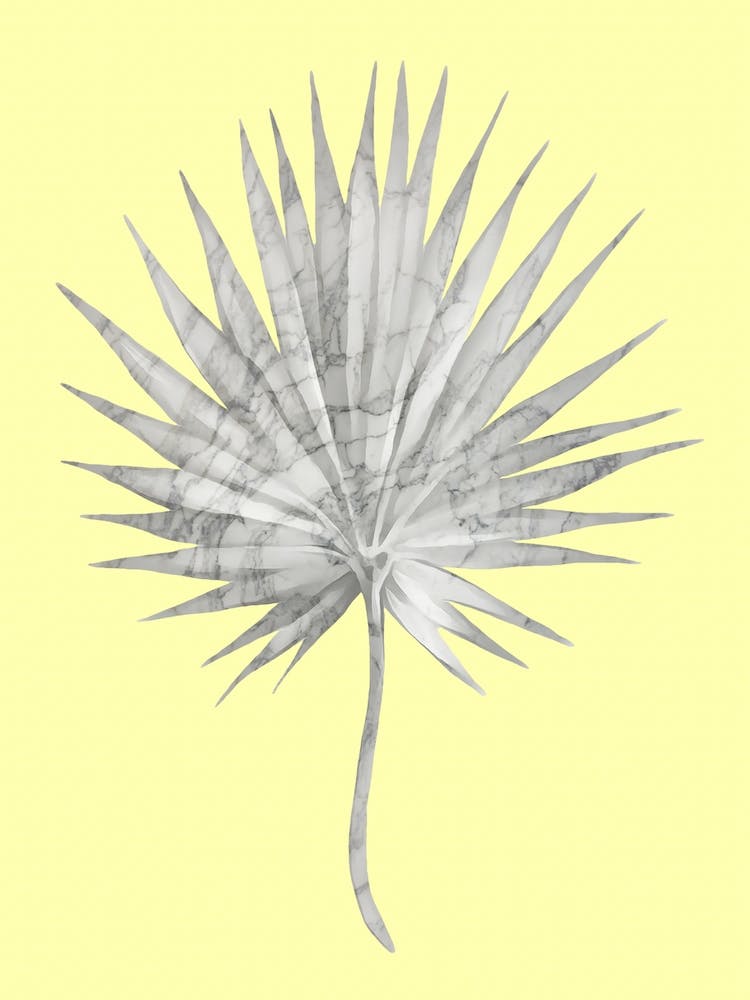 White Marble Fan Palm Leaf on Yellow Wall