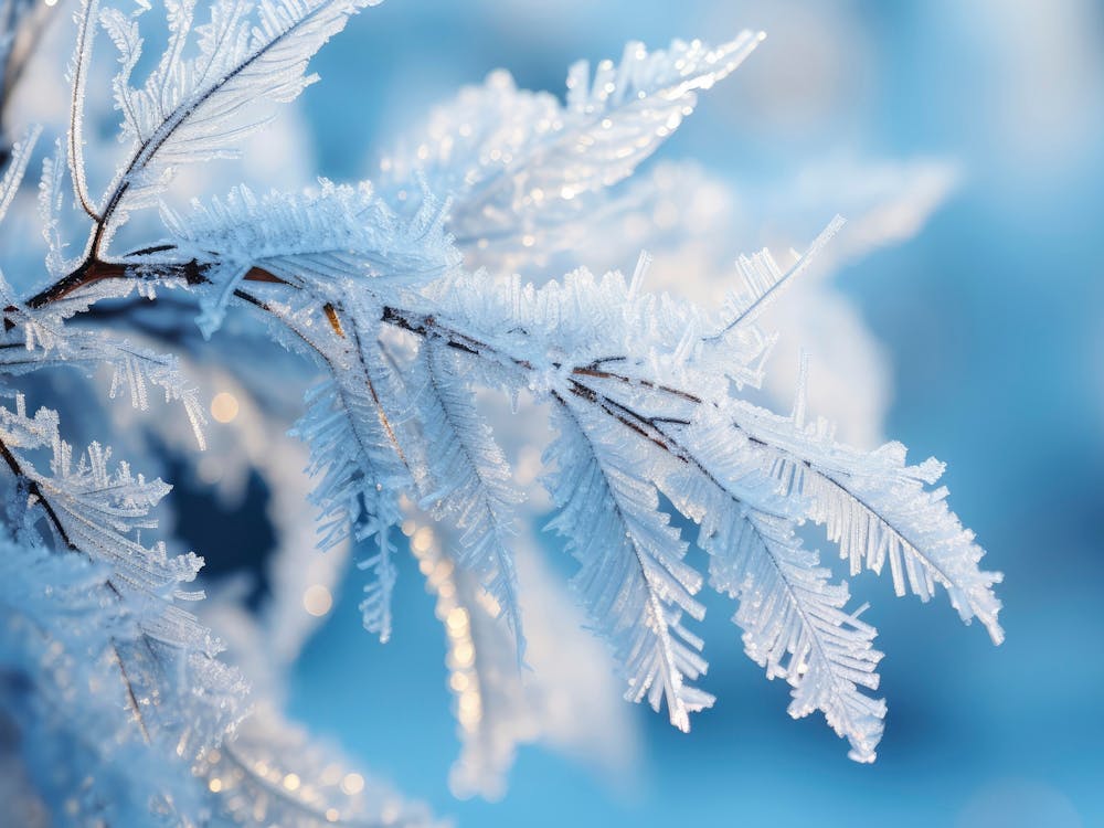 Winter Impressions No 6