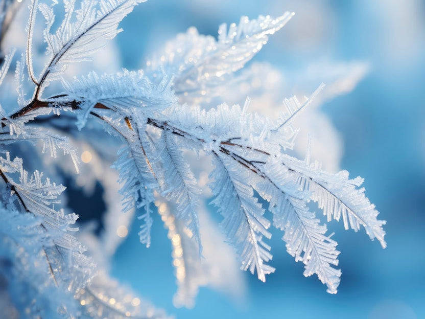 Winter Impressions No 6