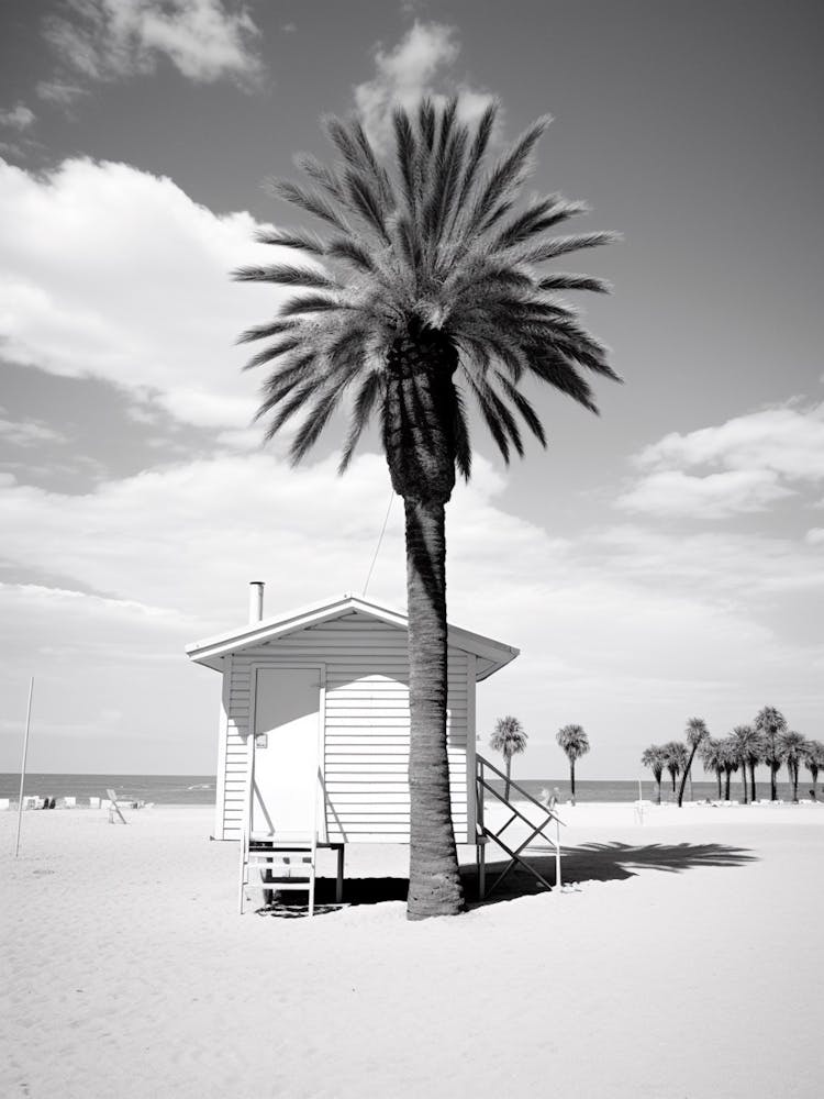 Forte Dei Marmi, Italy, Black And White Photography 1