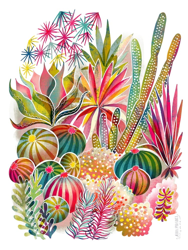 Flowering Succulent And Cacti Garden