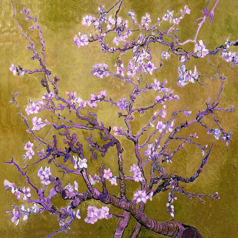 Vincent van Gogh Fleur d'Amandier 3