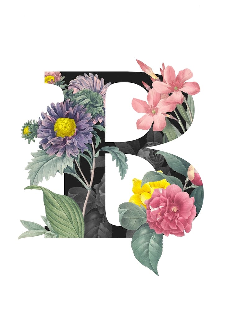 Letter B