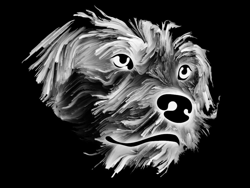 Dog Head