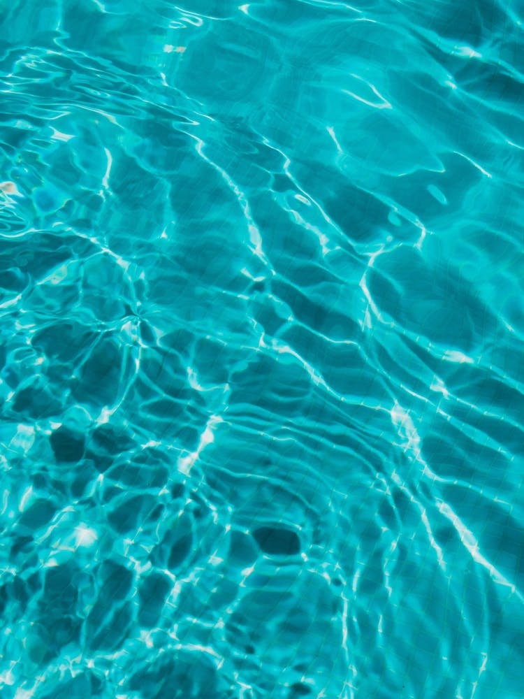 Pool In Summer