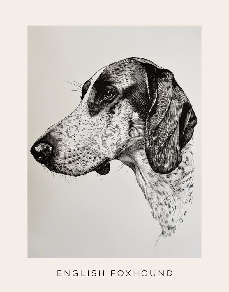 English Foxhound Dog Line Sketch 2 Poster