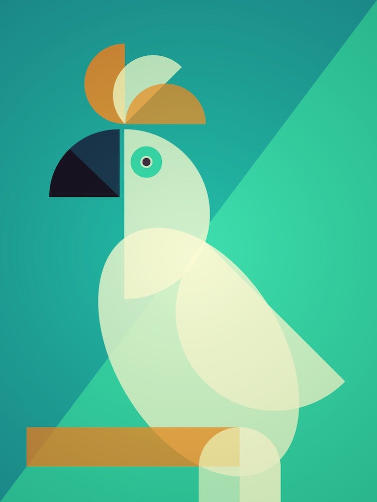 Mid Century Geometric Cockatoo