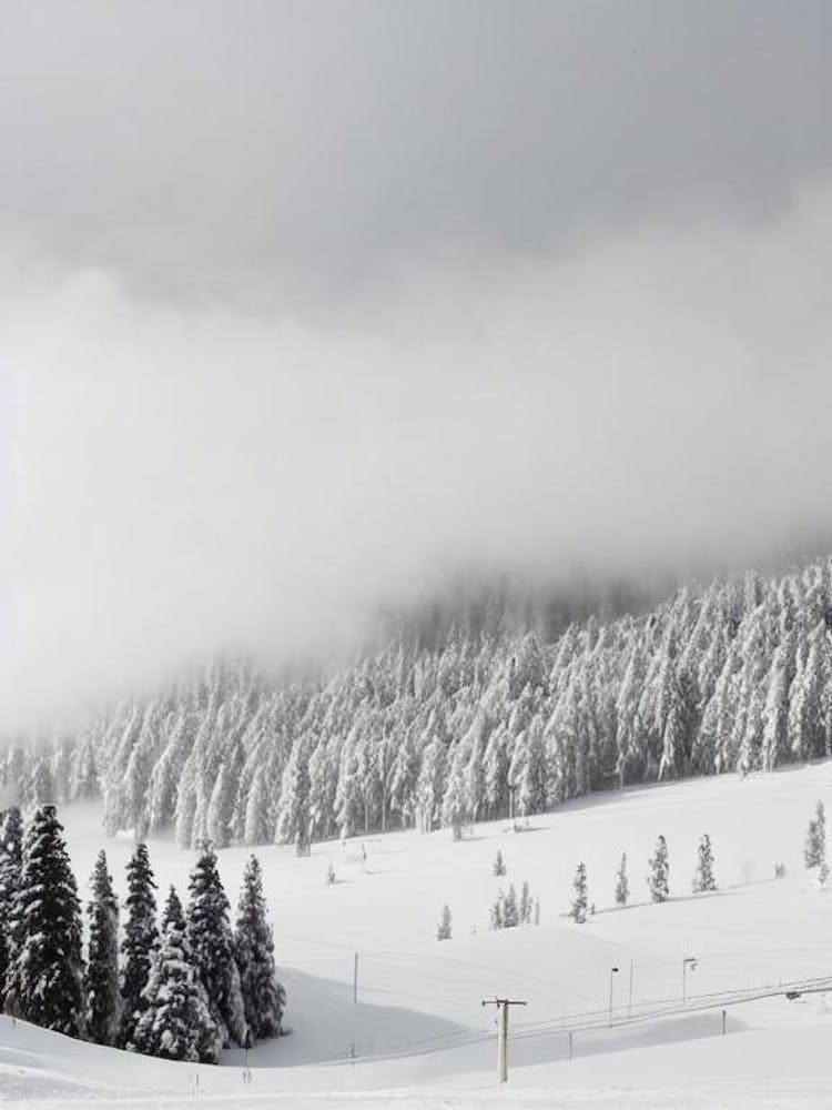 Rusutsu, Japan Black And White Skiing Poster