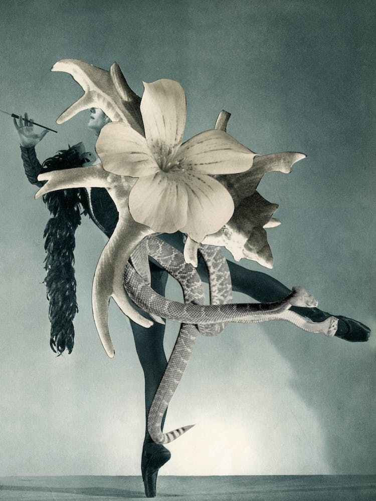 Dangerous Dance