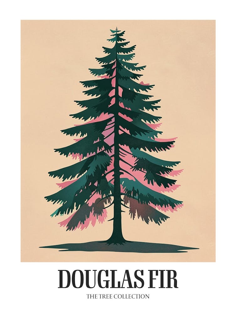 Douglas Fir Tree Illustration Colourful 3 Poster