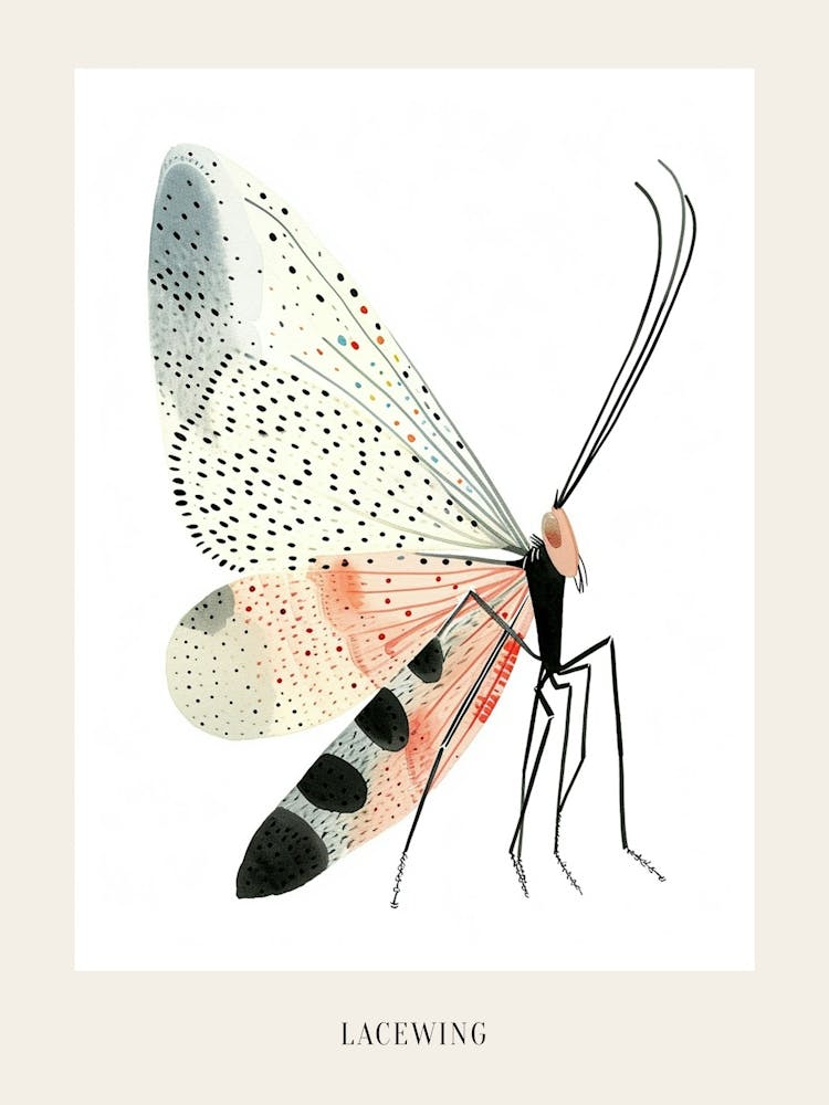 Colourful Insect Illustration Lacewing 20 Poster