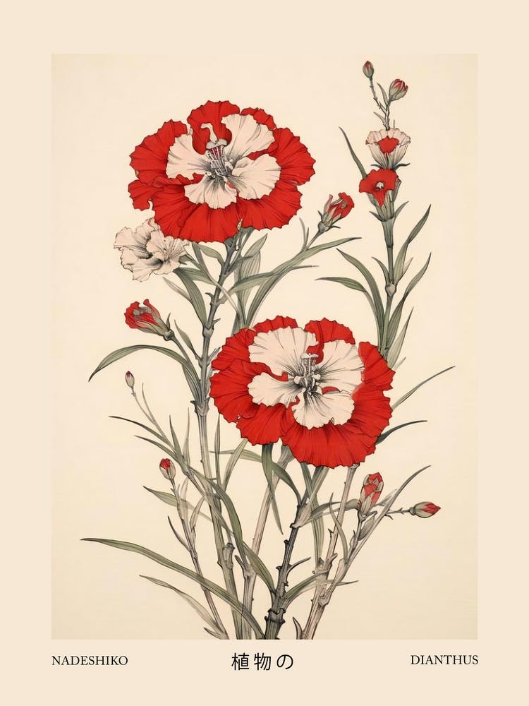Nadeshiko Dianthus Vintage Japanisches Botanisches Poster