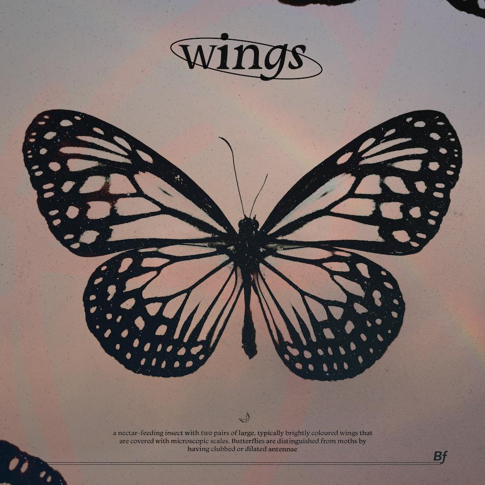 Der Schmetterling, Flügel