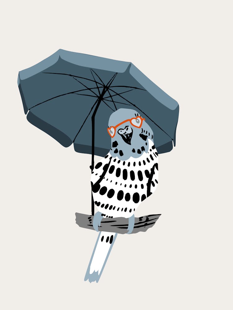 Bird With Umbrella
