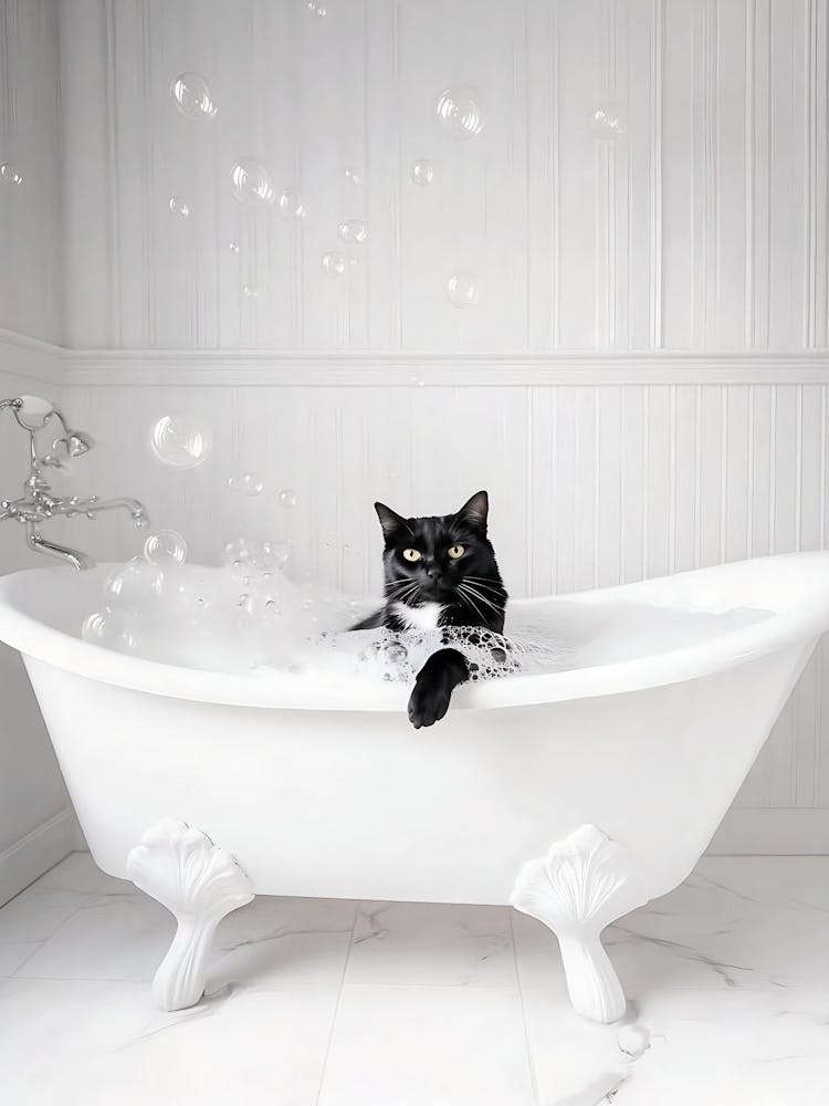 Bathroom Black Cat In Bathtub Print, Bathtub Wall Art Bathroom Decor, Funny Cat Posters, Toilet Humor, Bathroom Wall Art, Toilet Poster