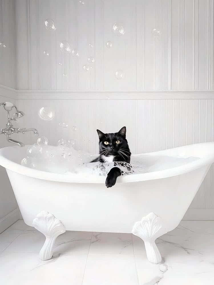 Bathroom Black Cat In Bathtub Print, Bathtub Wall Art Bathroom Decor, Funny Cat Posters, Toilet Humor, Bathroom Wall Art, Toilet Poster
