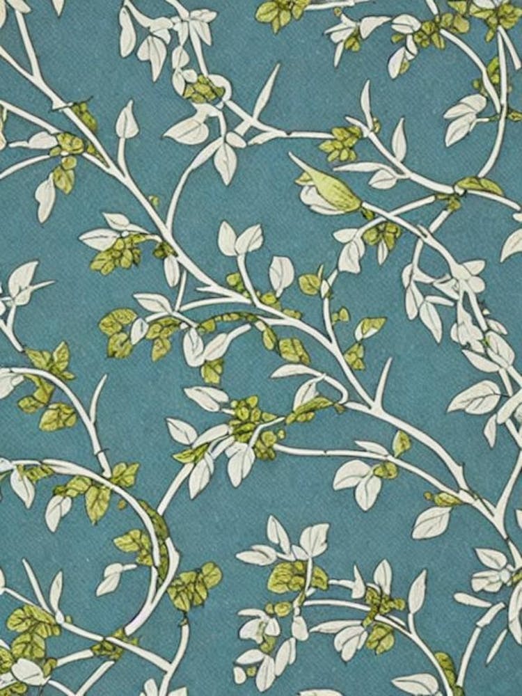 Alder tree Vintage Botanical