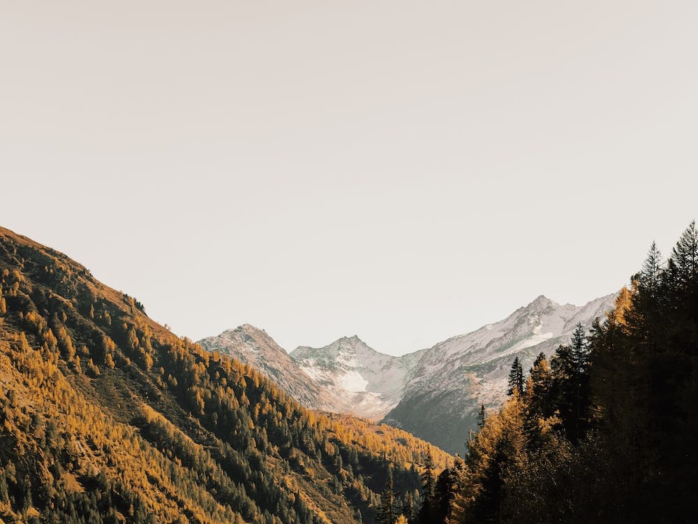 Colorado Fall Scenery