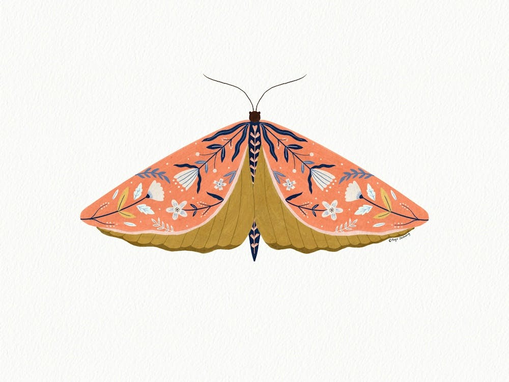 Coral Floral Moth