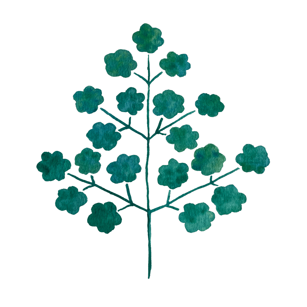 Hand Painted Watercolour Leaves