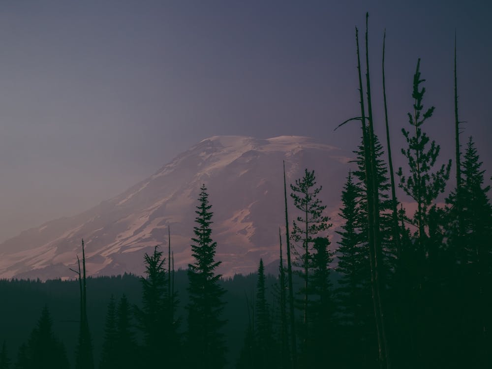 Mount Rainier Dreams