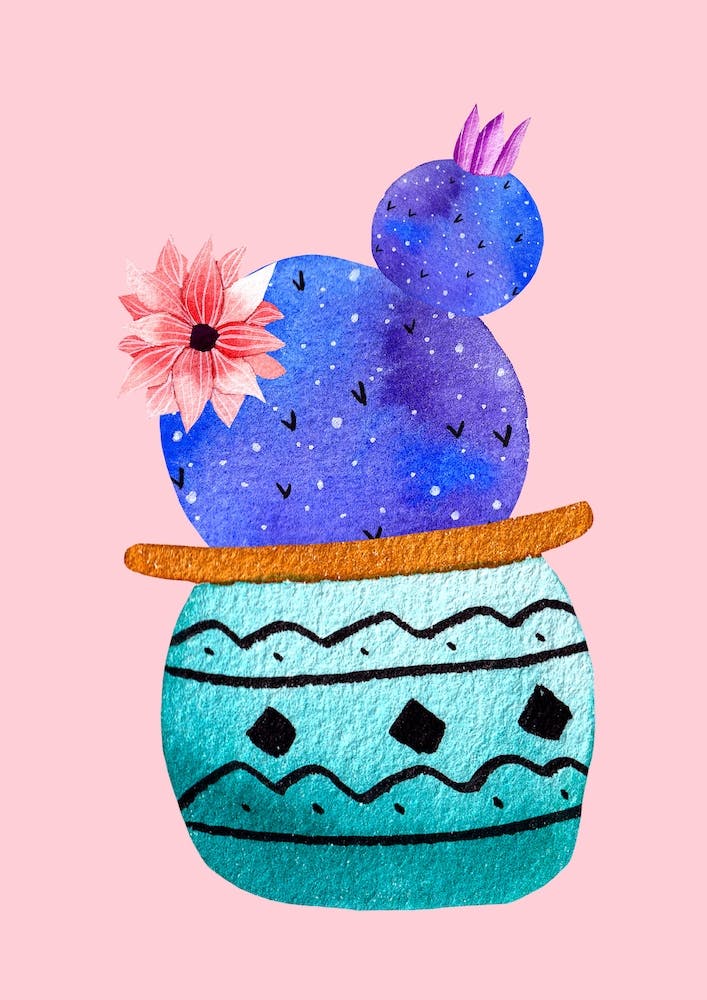 Green Pot And Galaxy Cacti