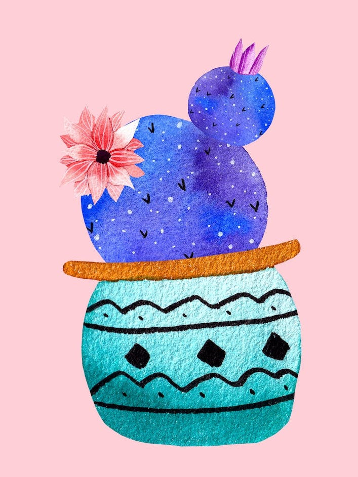 Green Pot And Galaxy Cacti