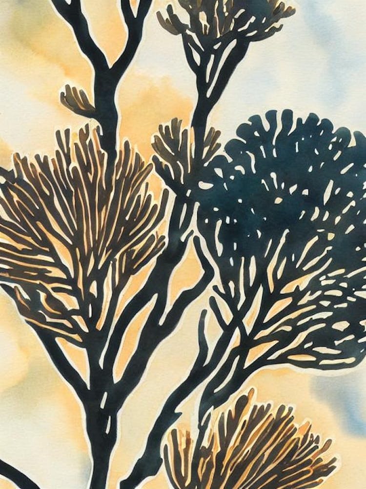 Acropora Verweyi 2 Vintage Graphic Watercolour