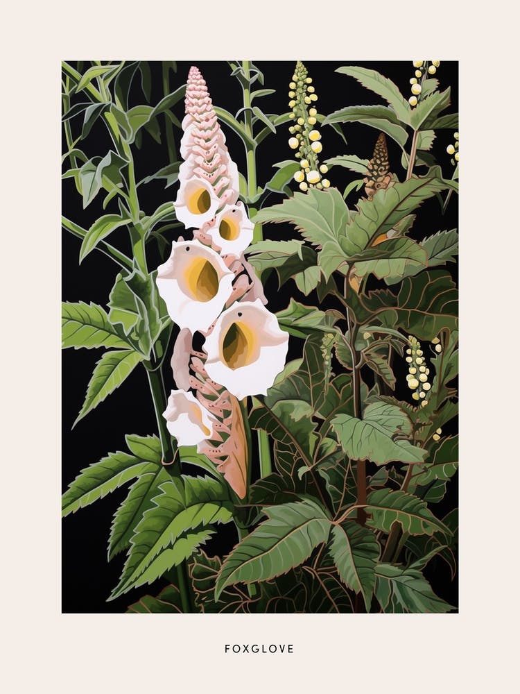 Flower Illustration Foxglove 1 Poster