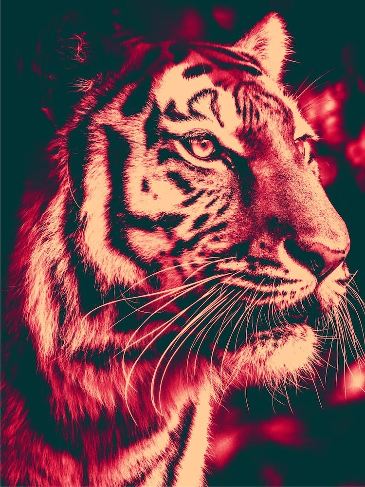 Tiger Retro