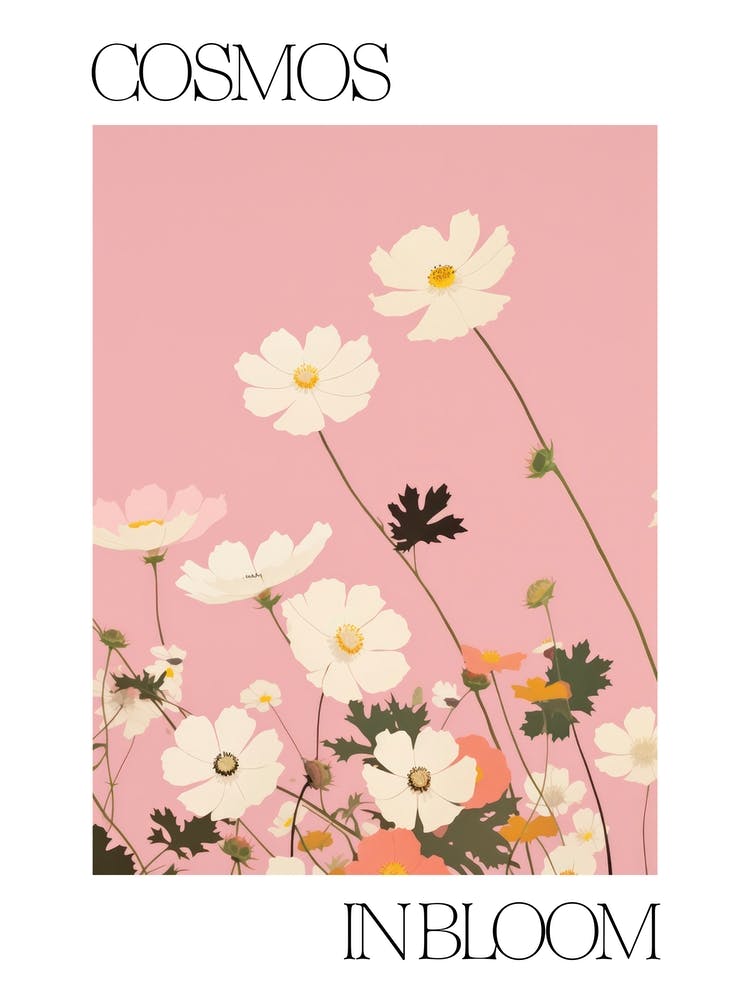 Cosmos In Bloom Flowers Bold Illustration 4