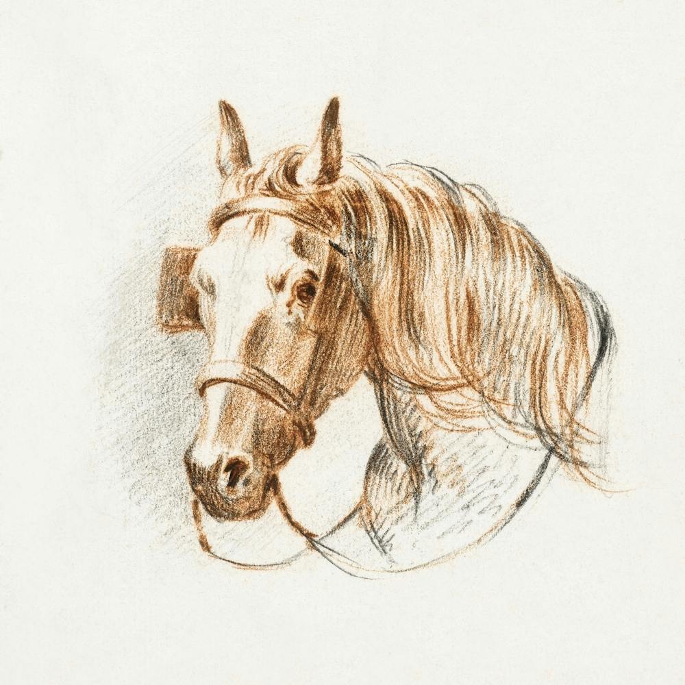 Kopf eines Pferdes mit Scheuklappen 1, Jean Bernard