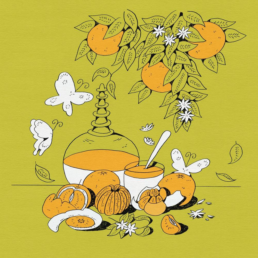 Still Life Oranges Square