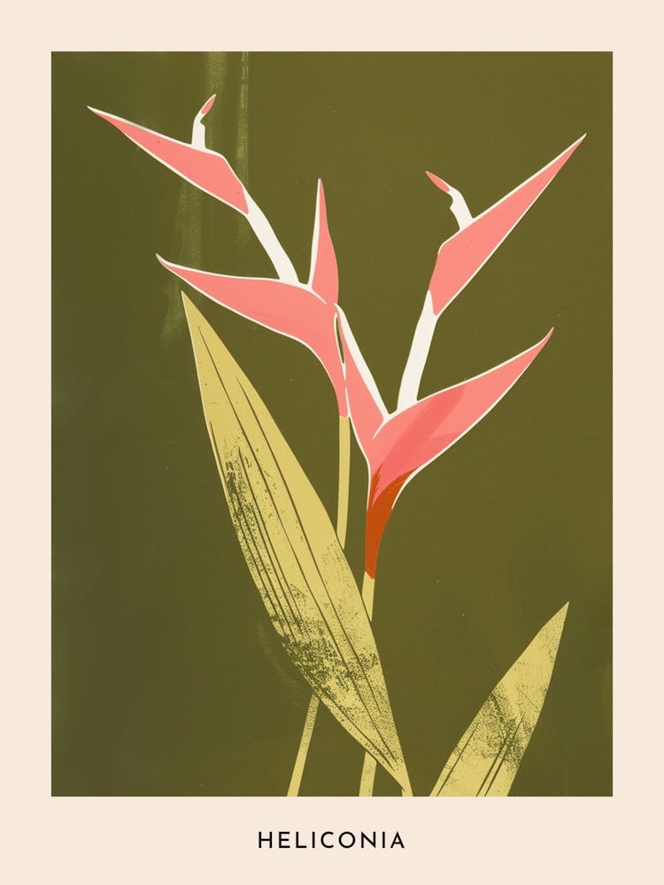 Pink & Green Heliconia 3 Flower Poster