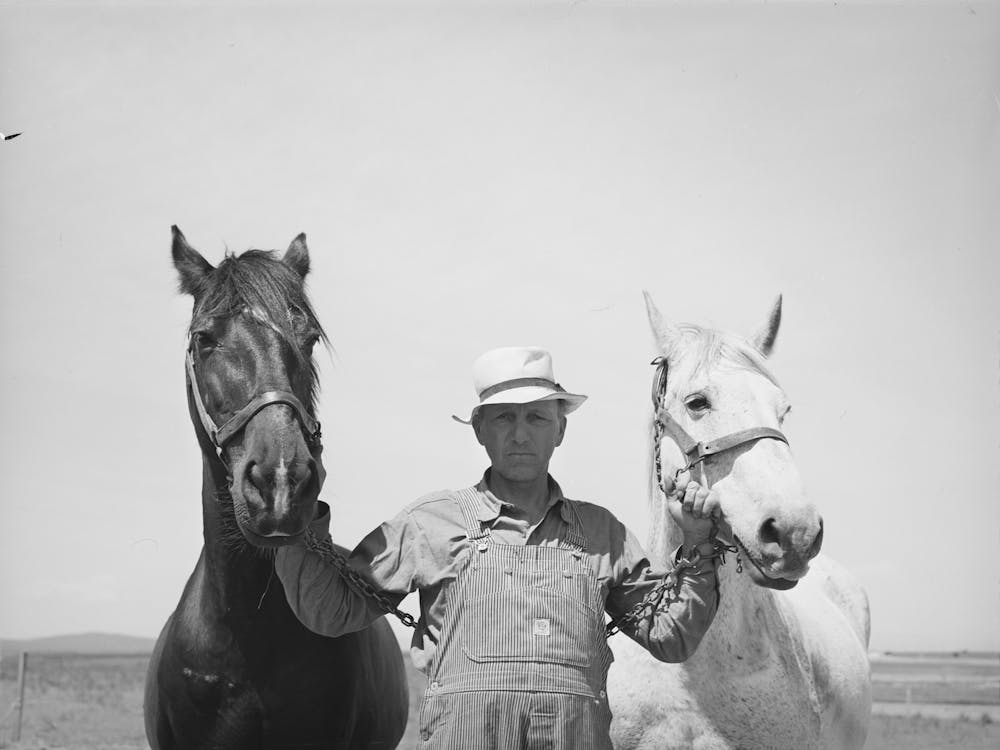 Photo Sans Titre, Possiblement Liée À M. Browning Et Son Équipe, Il Est Un Fsa (Farm Security Administration)