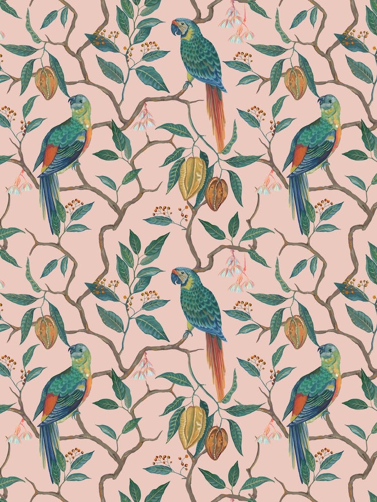 Peach Parrots