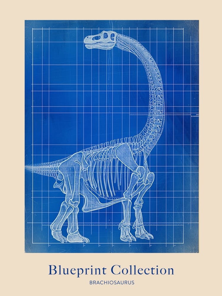 Brachiosaurus Dinosaur Blue Print Sketch 2 Poster