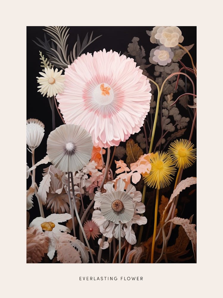 Flower Illustration Everlasting Flower 1 Poster