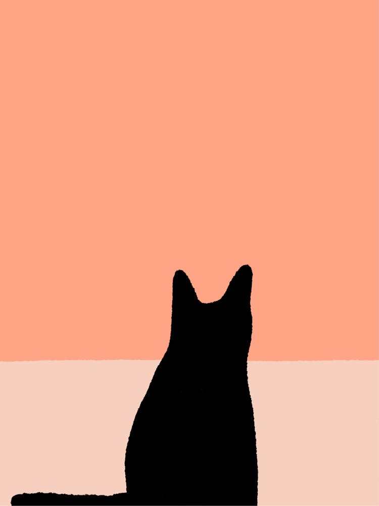 Cat Silhouette Orange