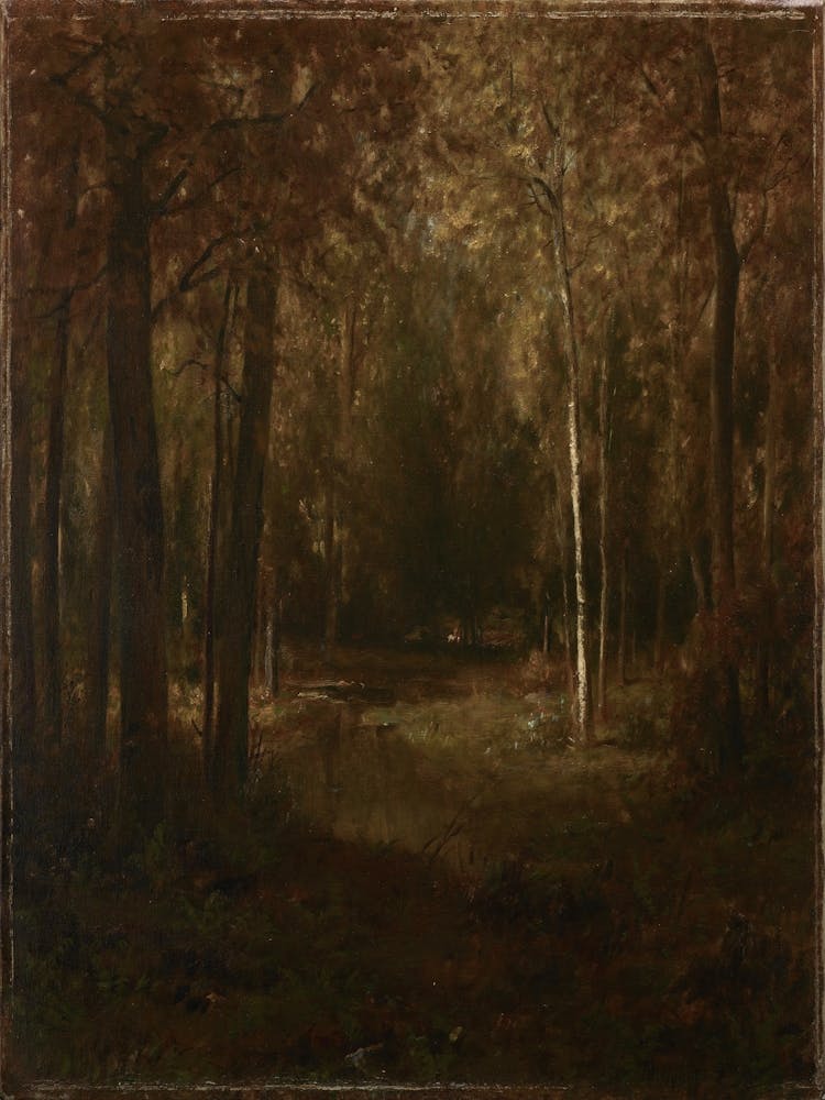 Forest Scene 2